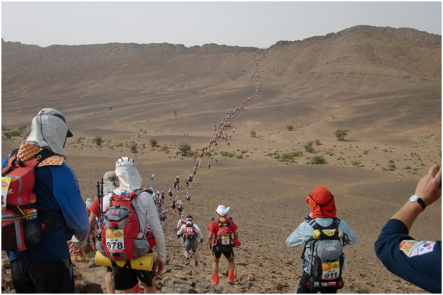 Follow the Leader Follow the Leader