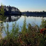 Race Report: Rainbow Trail Run