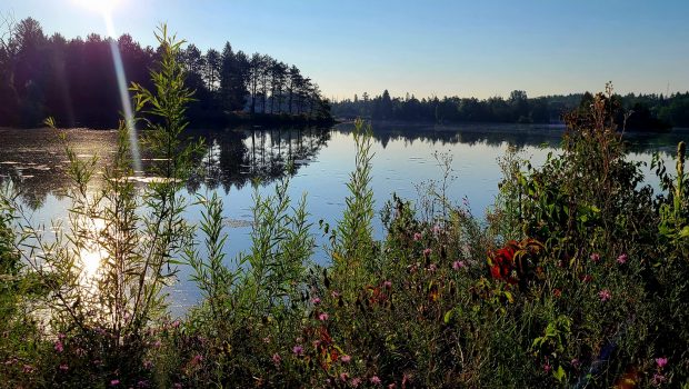 Race Report: Rainbow Trail Run