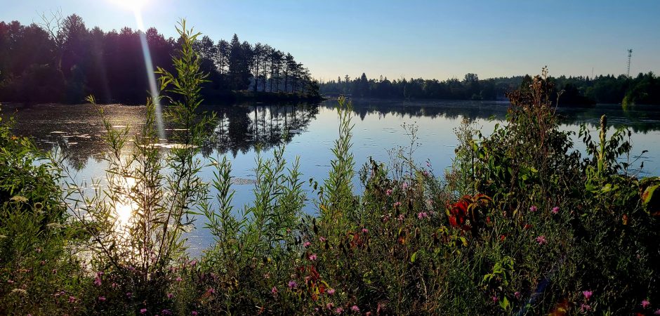 Race Report: Rainbow Trail Run