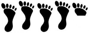 4-and-a-half feet-stars