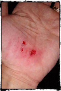 IMG_20150523_170840287