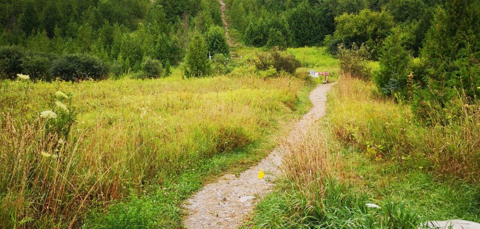 Lines and Loops Trail Race