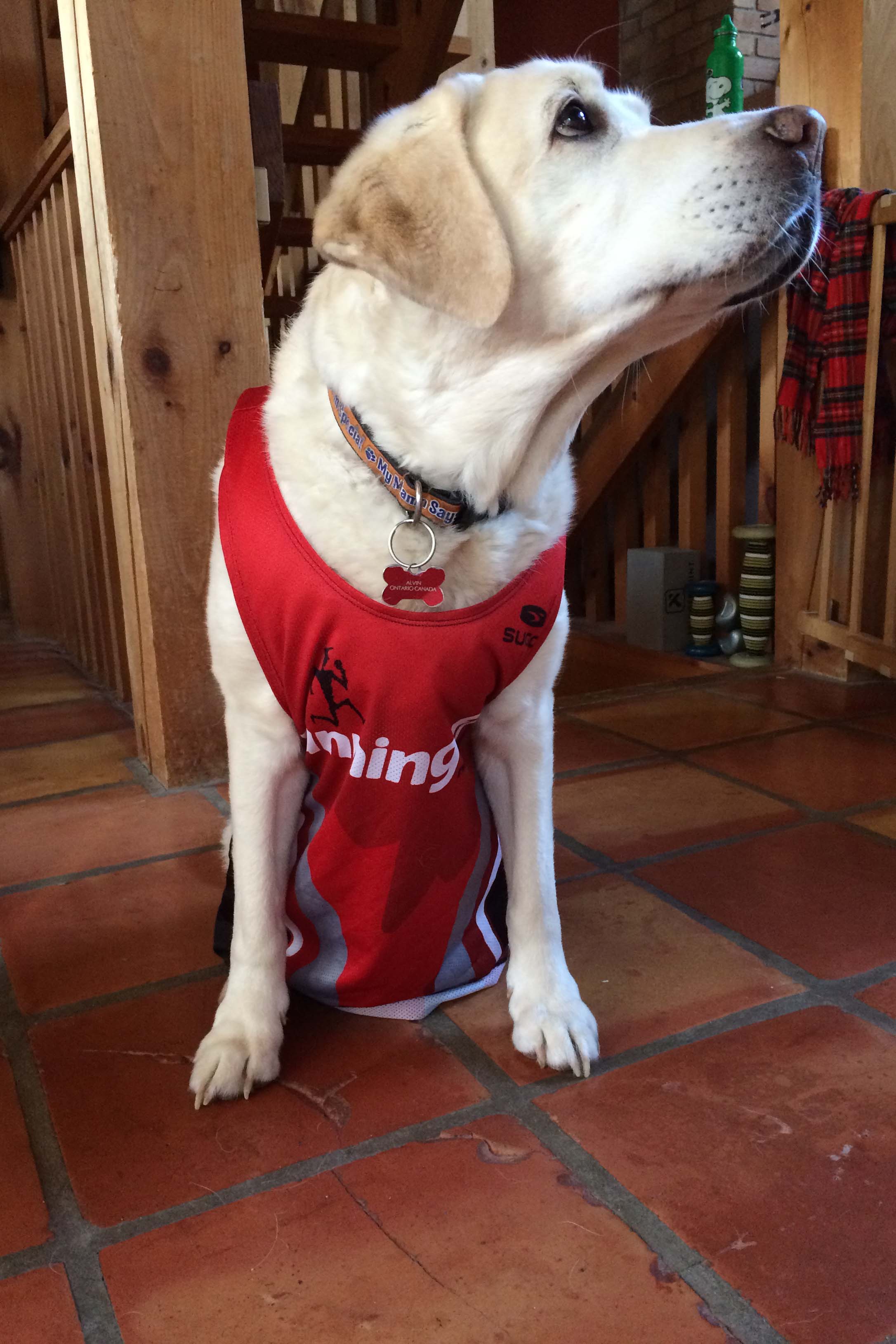 Team Running Free athlete