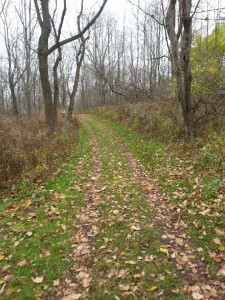 Doubletrack trail section